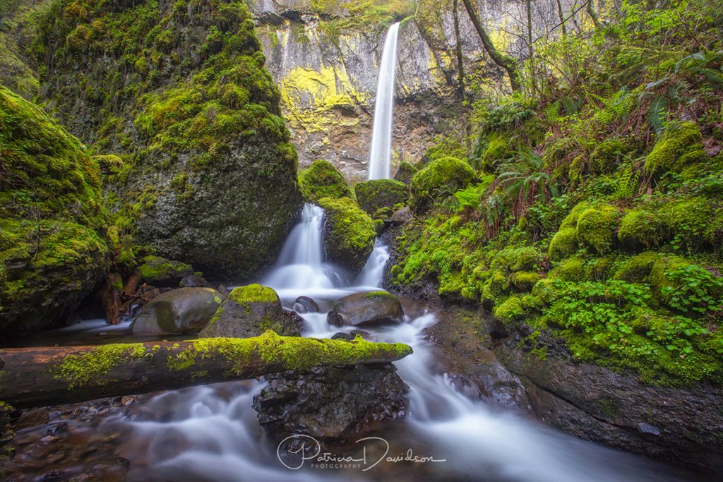 Today’s Photo Of The Day is “Elowah Falls” by Patricia Davidson. Location: Columbia River Gorge National Scenic Area, Oregon.