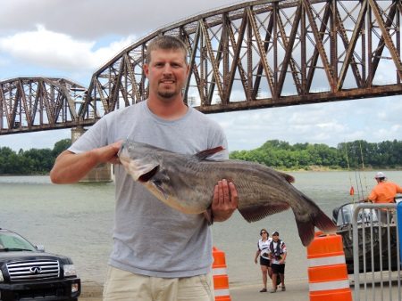 CatfishNOW: Catfish as Big as Volkswagens by Ron Presley