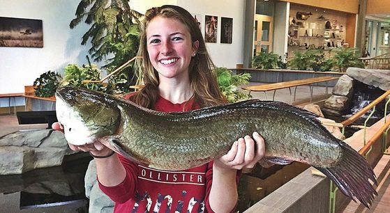Massachusetts has a new state record bowfin