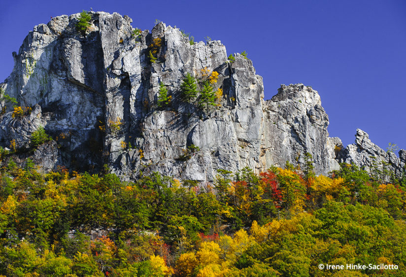 Fall color in West Virginia: Seneca Rocks