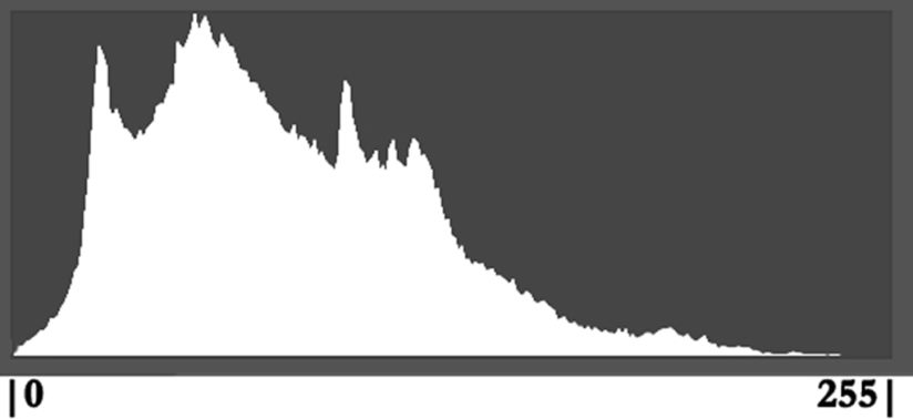 A simple histogram to help you learn how to use histograms