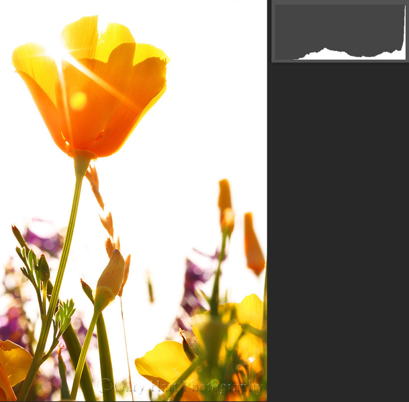 How to use histograms to intentionally overexpose.