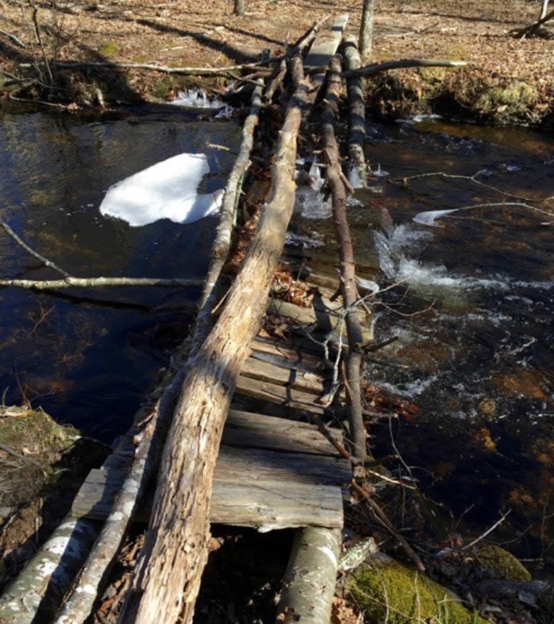 Mountain Biking in Hillsdale, RI