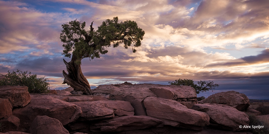 Today’s Photo Of The Day is “Sunrise Solitude” by Alex Speijer. Location: Dead Horse Point State Park, Utah.