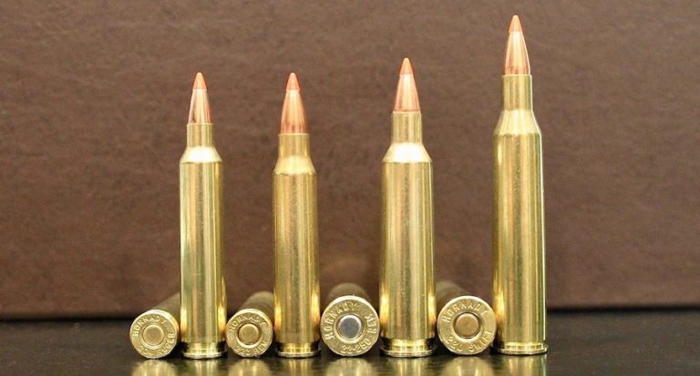 9 Rifle Cartridges With The Fastest Bullet Velocity ⋆ Outdoor 