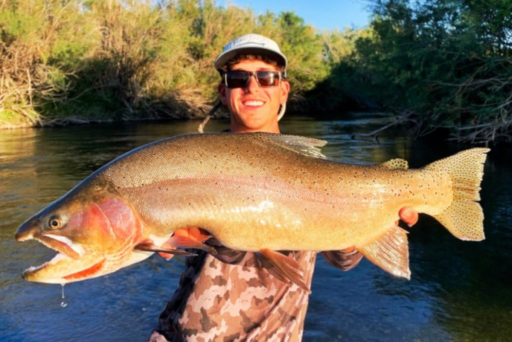 Idaho Yellowstone Cutthroat Trout Record Broken For Second Time In 2020 ...