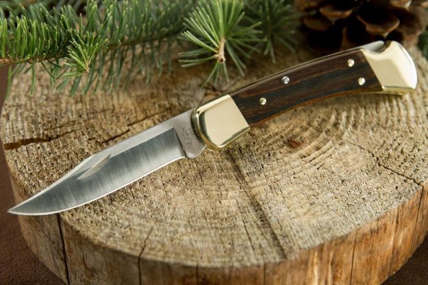 Buck Knives' 110 Folding Hunter Knife | Folding Hunting Knives For The Outdoor Warrior | Hunter Gear