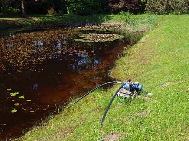 shallow pond