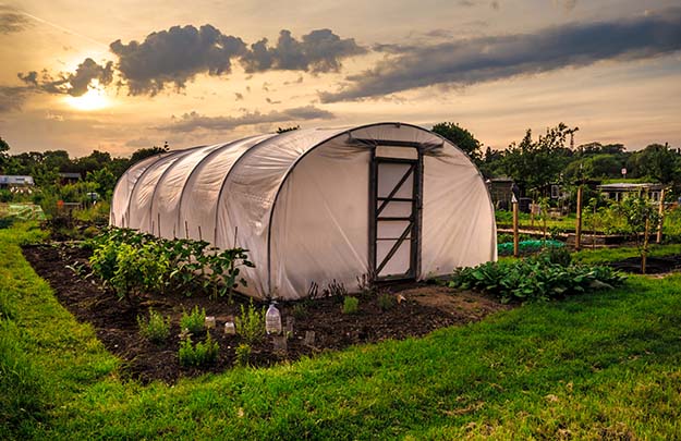 greenhouse