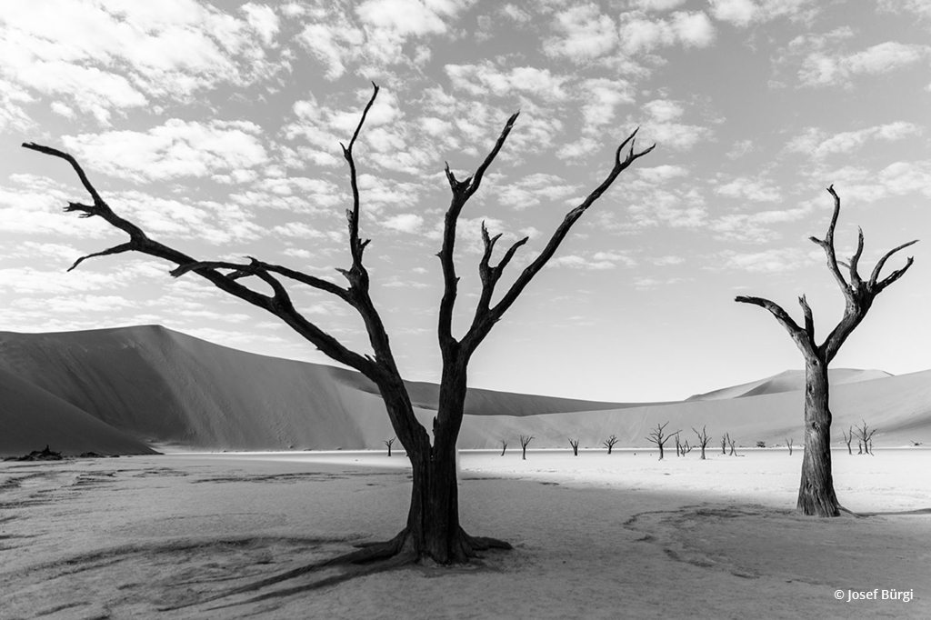 Congratulations to Josef Bürgi for winning the recent Black-and-White Landscapes Assignment with his image, “Dead Vlei Namibia.”