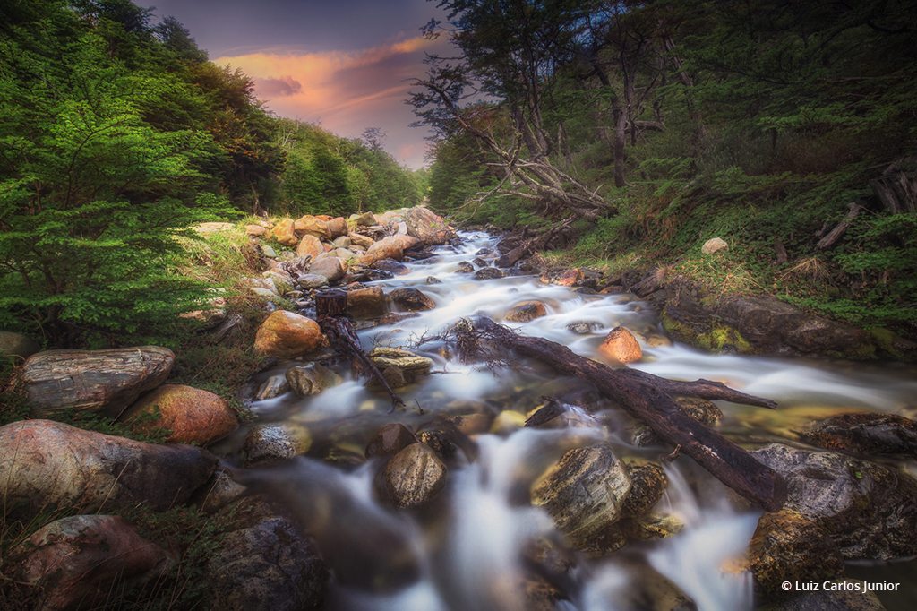 Brooks, Streams & Rivers Assignment Winner Luiz Carlos Junior