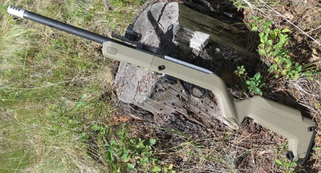ruger 10/22 accessories