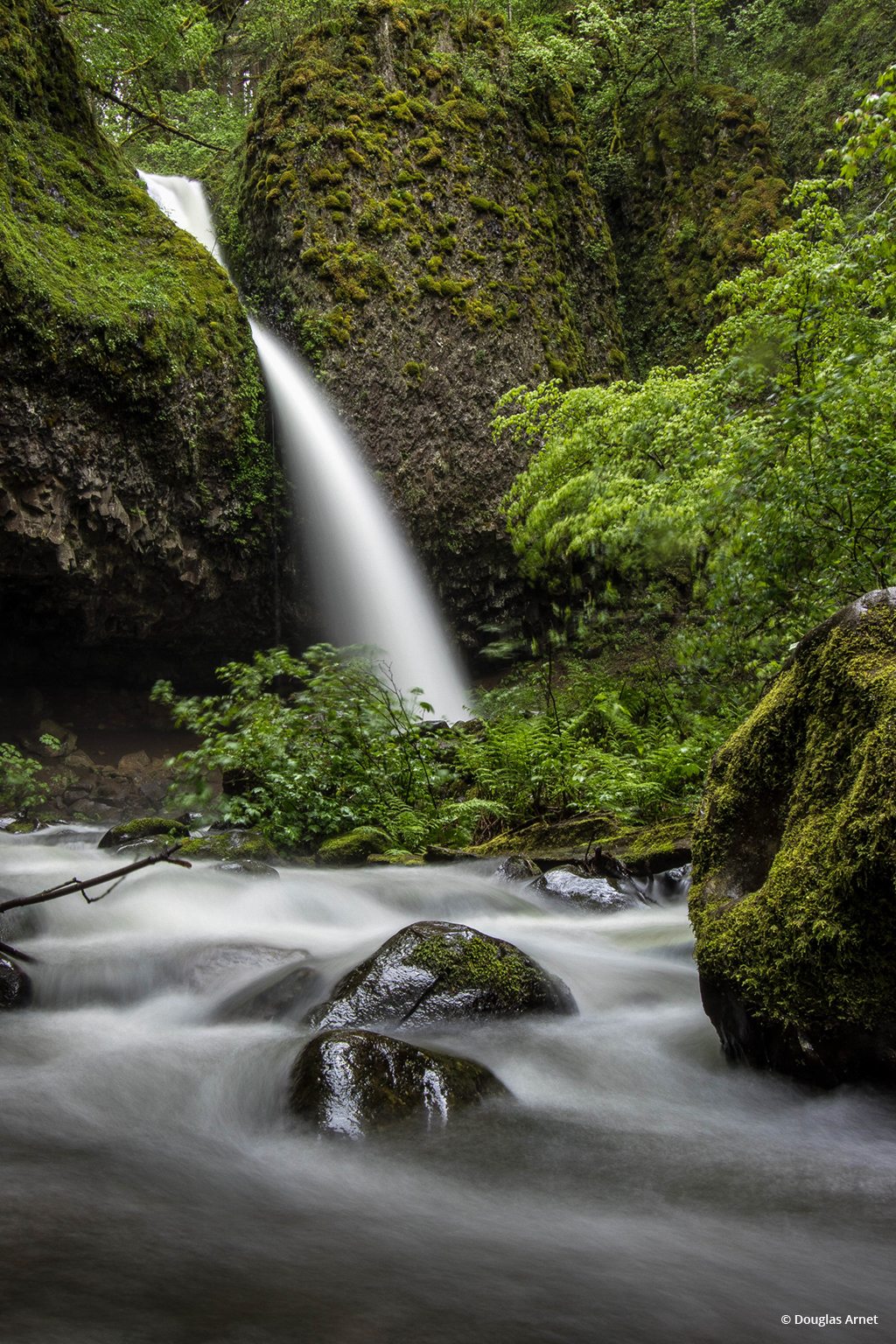 Today’s Photo Of The Day is “Ponytail” by Douglas Arnet. Location: Columbia River Gorge, Oregon. 