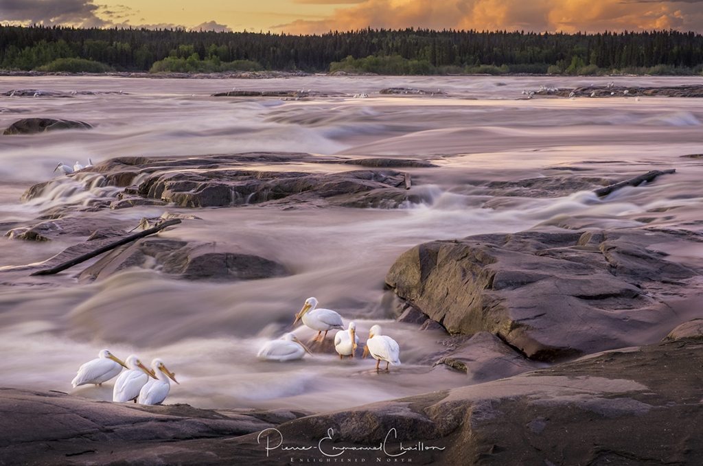 Today’s Photo Of The Day is “Life Is A Long, Quite River” by Pierre-Emmanuel Chaillon. Location: Fort Smith, Northwest Territories, Canada. 
