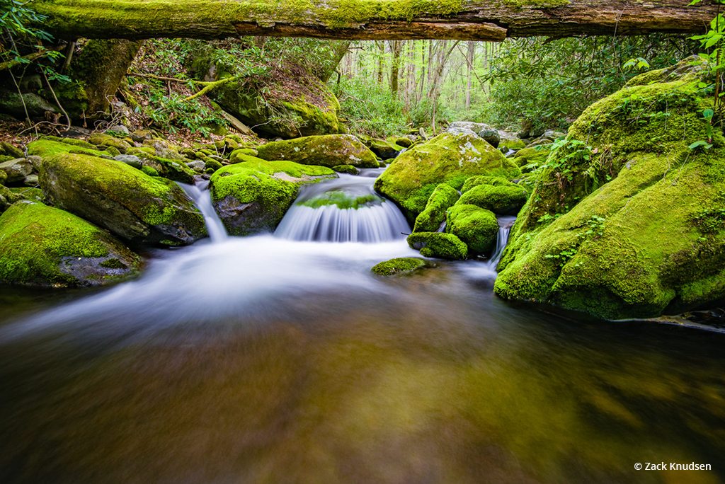 Today’s Photo Of The Day is “Come On In (The Water is Fine)” by Zack Knudsen. Location: Roaring Fork Motor Nature Trail, Gatlinburg, Tennessee.