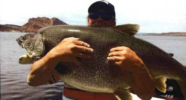 lake trout record