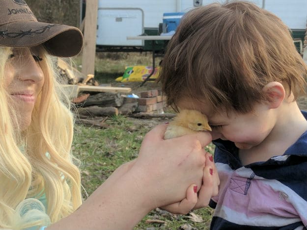 Top 10 Natural Remedies for Chicken and Duck Keeping mom holding chick to kid's face