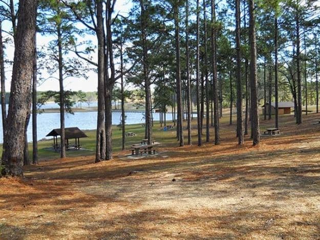 Camping in Mississippi | Ultimate List of Campgrounds Around US | Survival Life Camping Spots List
