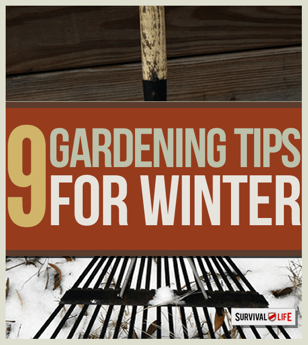 winter gardening tips, organic gardening tips, survival gardening, and prepper tips