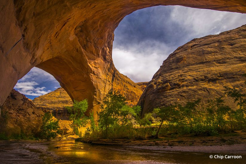 Coyote Gulch, Grand Staircase-Escalante, Utah