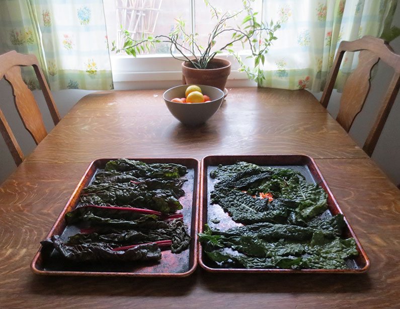 Fresh Kale on Table