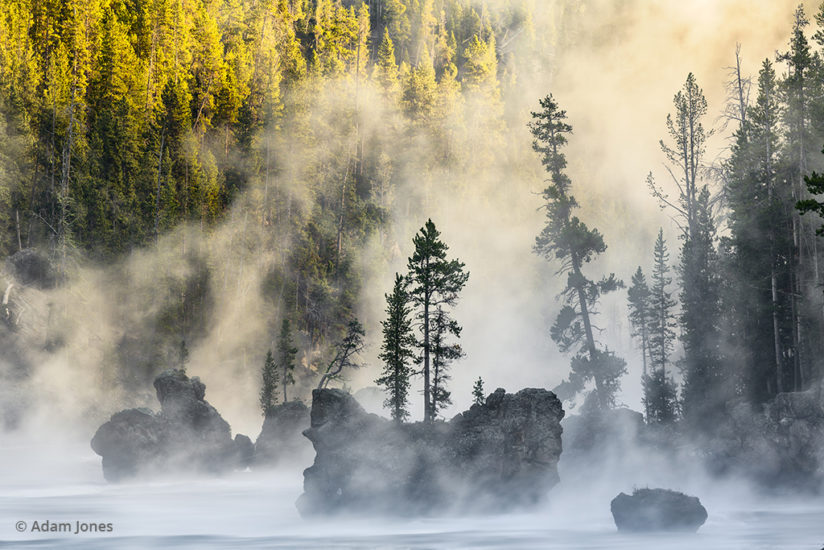Boulders and trees in steaming Yellowstone River at sunrise, Yellowstone