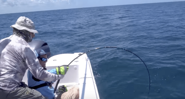 goliath grouper on the fly