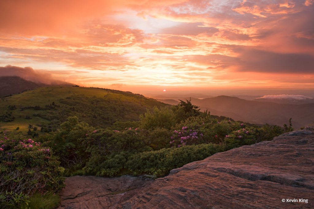 Today’s Photo Of The Day is “Evening Bliss” by Kevin King. Location: Roan Mountain, Tennessee.