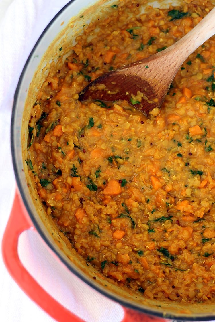 Red Lentil Sweet Potato Dal Before Dehydrating