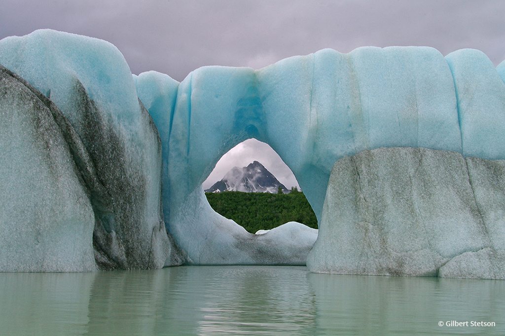 Alsek Lake Iceberg