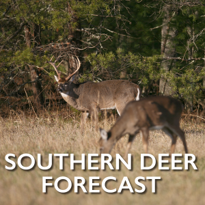 Southern-Deer-Forecast