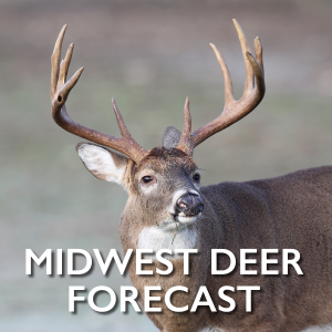 MidWest-Deer-Forecast