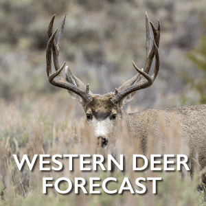 Western-Deer-Forecast
