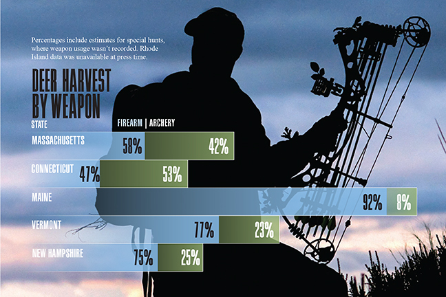 New England Deer Graphic