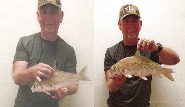 Bowfisherman Claims Two Arkansas Records in One Night 