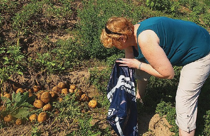 Family farm suffers from upstream trailer park’s discharge