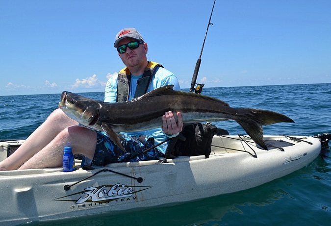 Hunting Panhandle Cobia from the Kayak