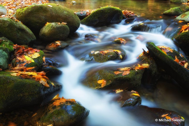 Today’s Photo Of The Day is “Stream In Autumn” by Michael Swindle. Great Smoky Mountain National Park, TN. 