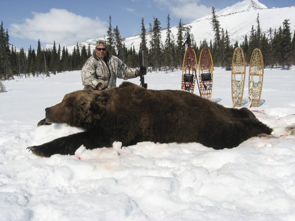 biggest grizzly bear kills in the record books bob steed