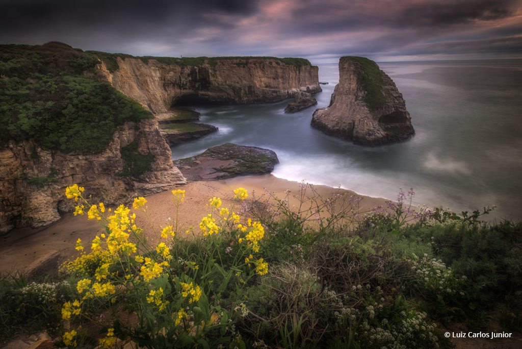 Congratulations to Luiz Carlos Junior for winning the recent Beaches And Shorelines Assignment with the image, “Spring at Shark Fin Cove.”
