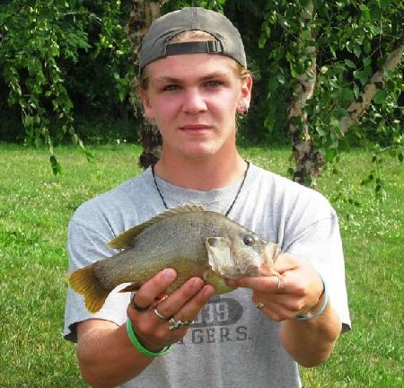 Greentop angler catches state-record green sunfish