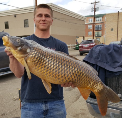 Derek Barnick, of Tappen, took a 31 pound, 9 ounce common carp from Lake Etta-Alkaline with a bow and arrow