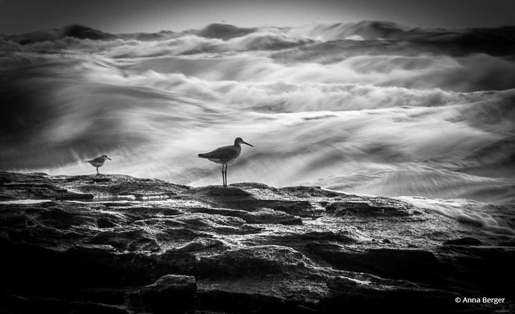 Today’s Photo Of The Day is “Waiting for the Big Wave” by Anna Berger. Location: Florida.