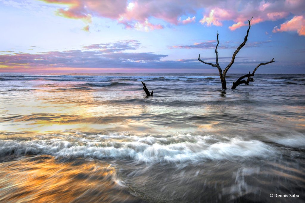 Today’s Photo Of The Day is “That Moment” by Dennis Sabo. Location: Capers Island, South Carolina.