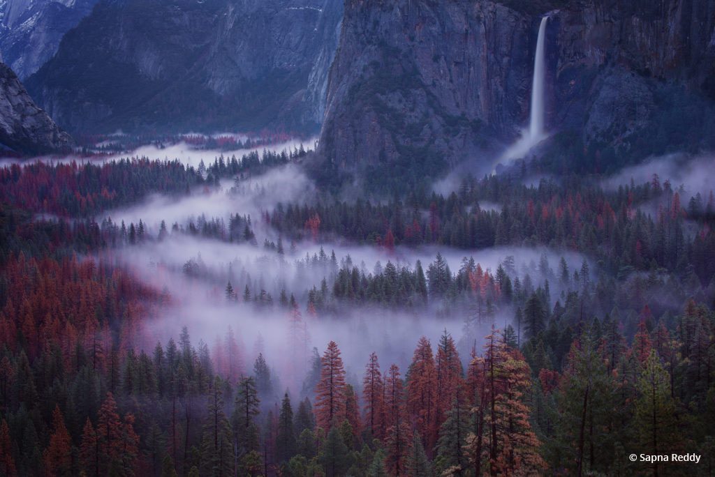 Today’s Photo Of The Day is “Flow” by Sapna Reddy. Location: Yosemite National Park, California. 