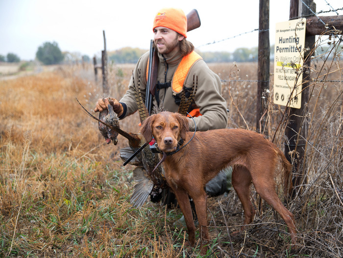 A successful upland game bird hunter poses with his dog and a couple of northern bobwhite quail he harvested in Nebraska. Photo courtesy of Mark Davis. 