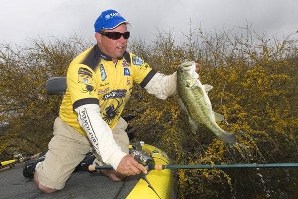 Flipping Shallow Cover Works Well For Big Spring Bass