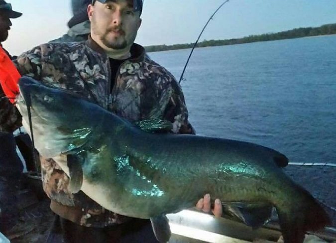 NY State Record New Largest Channel Catfish
