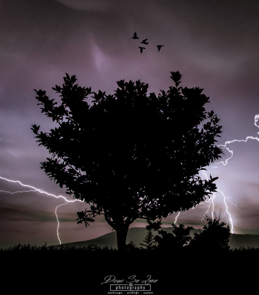 Today’s Photo Of The Day is “Thunderstorm” by Diogo Sá Lima. Location: Portugal. 