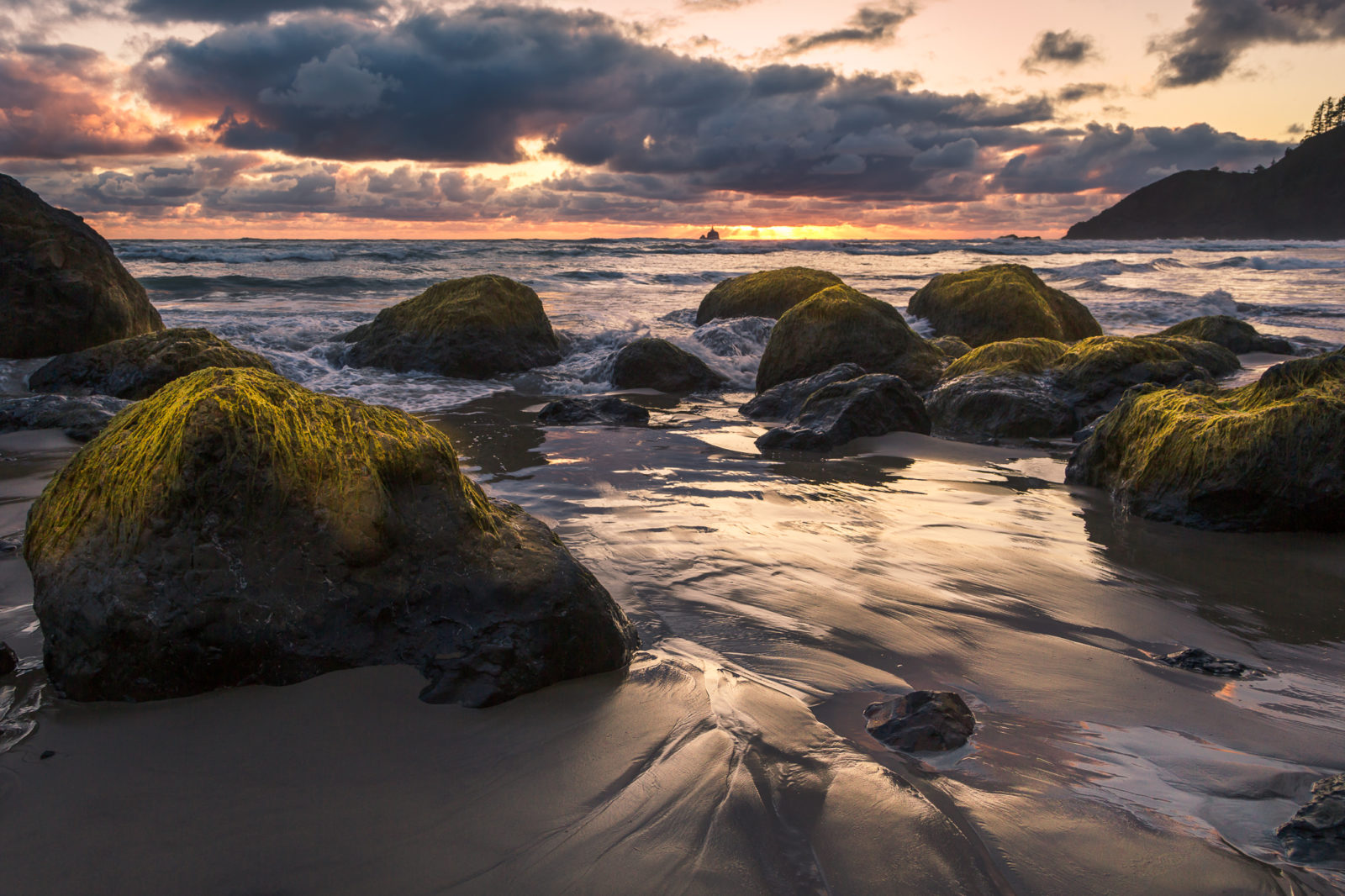 Today’s Photo Of The Day is “Ecola State Beach” by Nadeen Flynn. Location: Ecola State Beach, Oregon.